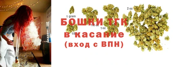 дмт Алзамай