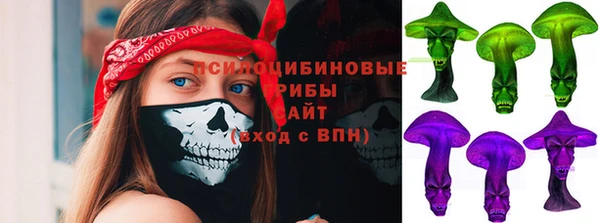 дмт Алзамай