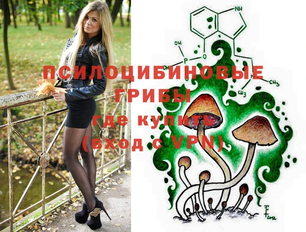 дмт Алзамай
