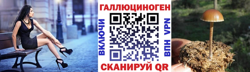 Псилоцибиновые грибы GOLDEN TEACHER  Ковылкино 